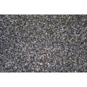 Νίζερ 1kg