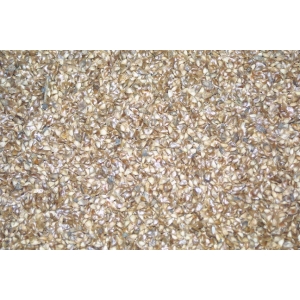 Σπόρια Conifera (είδος πεύκου) 1kg